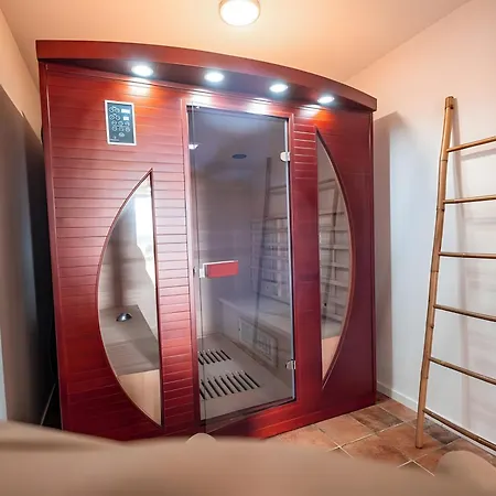 Holiday home Casa Lounell, Piscine, Spa, Sauna Graulhet